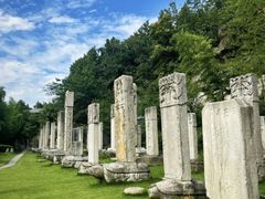 -徐州龟山景区