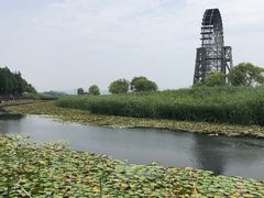 -太湖湖滨国家湿地公园-停车场