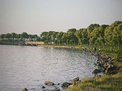 -漕湖湿地公园