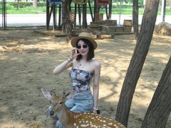 -南戴河国际娱乐中心