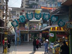 -猫咪博物馆(顶澳仔猫街店)