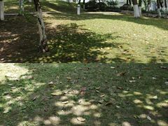 -百林公园-两江幸福广场