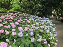 -常州古运河南大街文化旅游区-人民公园