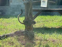 -石家庄市动物园