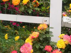 -名花谷生态庄园