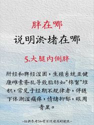 点击看大图 -玛莲朵·海菲秀冰珀科