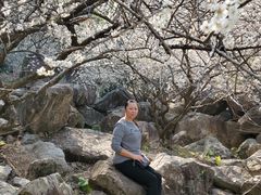 -广州市流溪河国家森林公园