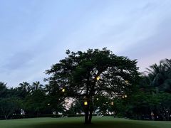 -日落吧·海景咖啡厅·餐酒吧·鸡尾酒·下午茶·乐队表演·浪漫夕阳·三亚文华东方酒店