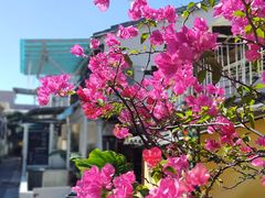 -较场尾