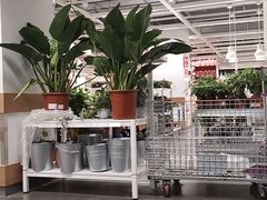 -宜家家居(哈尔滨商场店)