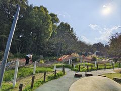 -杭州少年儿童公园
