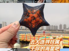 -旅顺留声机博物馆