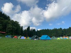-武陵山森林公园