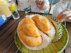 -榴莲BB 四季果园