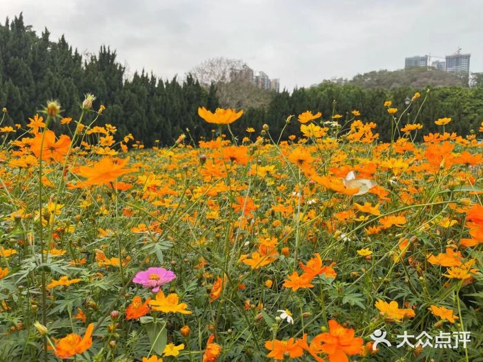 滨海公园图片