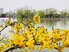 -济南大明湖景区