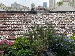 -普朗姆生蚝吧(原建国路店)