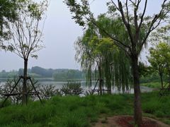 -东郊湿地公园