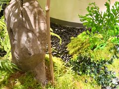 -绿茶餐厅(淮安吾悦广场店)