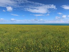 -青海湖国家重点风景名胜区