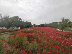 -祥源·阜阳生态乐园