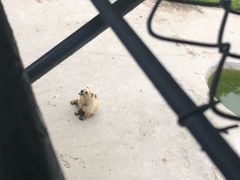 -哈尔滨北方森林动物园