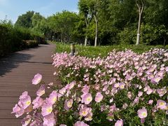 -上海市保健医疗中心