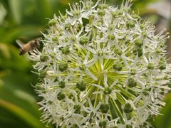 -北京植物园-展览温室