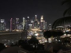 -新加坡文华东方酒店