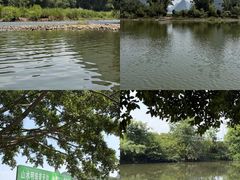 -荔江湾景区