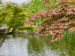 -九科绿洲