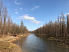 -黄海国家森林公园