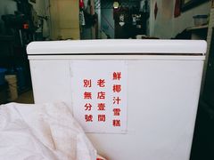 -洪馨椰子