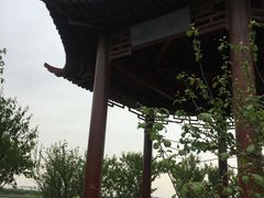 -天津东丽湖风景区