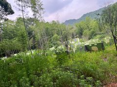 -石燕湖生态旅游景区