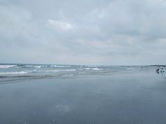 -东海岛旅游度假区