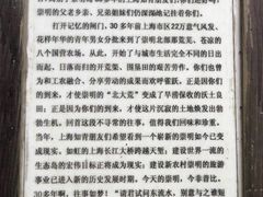 -东平国家森林公园