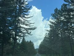 -塞罕坝国家级自然保护区