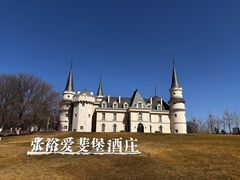 -北京张裕爱斐堡酒庄