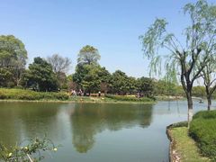 -上海鲜花港