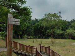 -黄埔油麻山森林公园