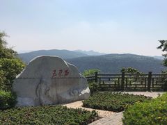-铁山坪森林公园