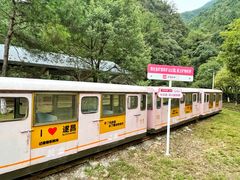 -遂昌金矿国家矿山公园