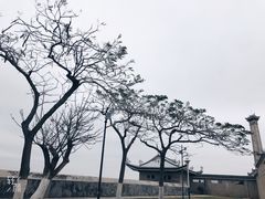 -集美鳌园景区