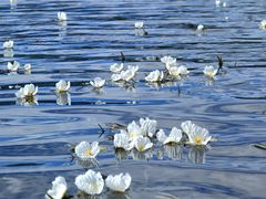 -丽江泸沽湖景区