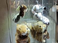 -吴越荣记苏州菜·松鼠桂鱼100%活鱼现做(斜塘老街店)