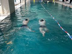 -长沙富力万达文华酒店