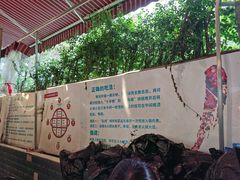 -化龙桥九宫格火锅(清水河店)