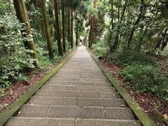 -峨眉山风景名胜区
