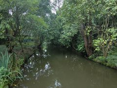 -上海滨江森林公园